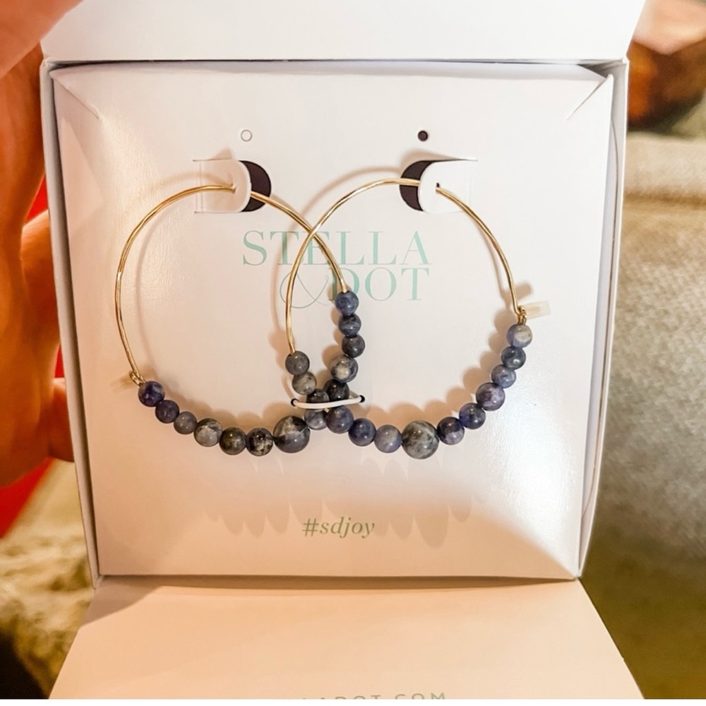 Stella & Dot Rhett Pull Through Hoop Earrings